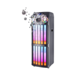 Generalgold Premium Party Speaker, 12" 100W, LV-PP1202